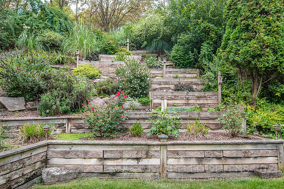 01 Back Yard D