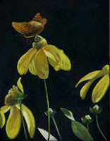 Flowers with Bugs II