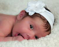 Wilkes Barre Newborn Portrait Photography