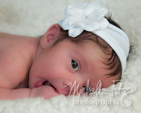 Wilkes Barre Newborn Portrait Photography