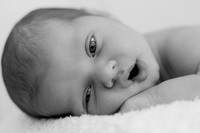 Wilkes Barre Newborn Portrait Photography