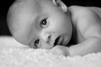 Wilkes Barre Baby Portrait Photography