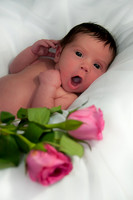Wilkes Barre Newborn Portrait Photography
