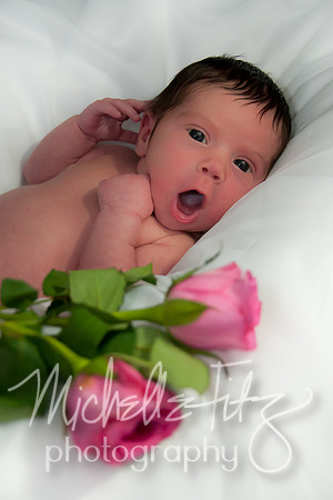 Wilkes Barre Newborn Portrait Photography