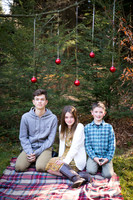 Wilkes-Barre-Family-Photography-Christmas-Session-Bear-Creek