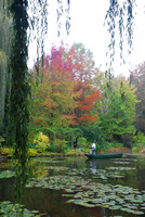 Monet's Waterlily Pond, Giverny, France