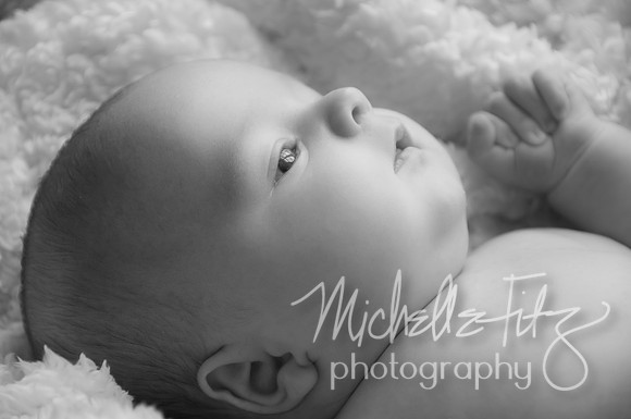 Wilkes Barre Baby Portrait Photography