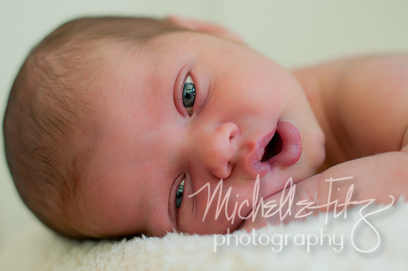 Wilkes Barre Newborn Portrait Photography