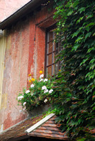 French Window