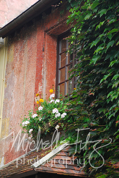 French Window