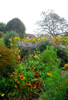 Monet's Garden, Giverny, France