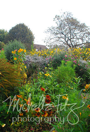 Monet's Garden, Giverny, France