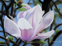 Paintings