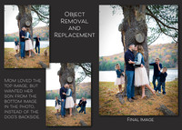 Object Removal/Replacement