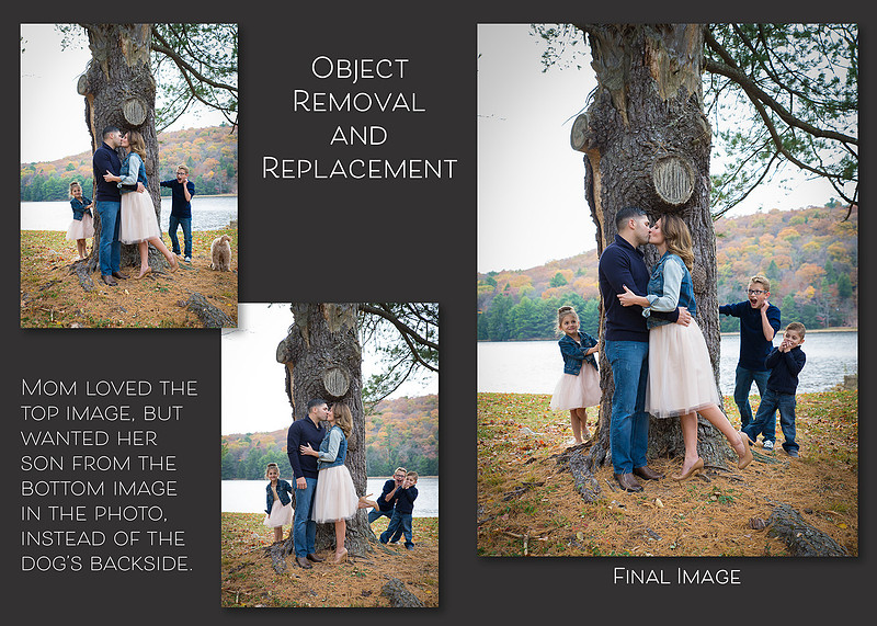 Object Removal/Replacement