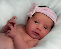 Wilkes Barre Newborn Portrait Photography