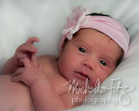 Wilkes Barre Newborn Portrait Photography