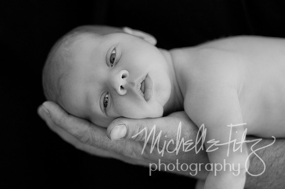 Wilkes Barre Newborn Portrait Photography