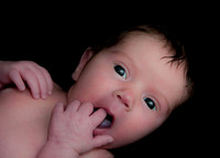 Wilkes Barre Newborn Portrait Photography