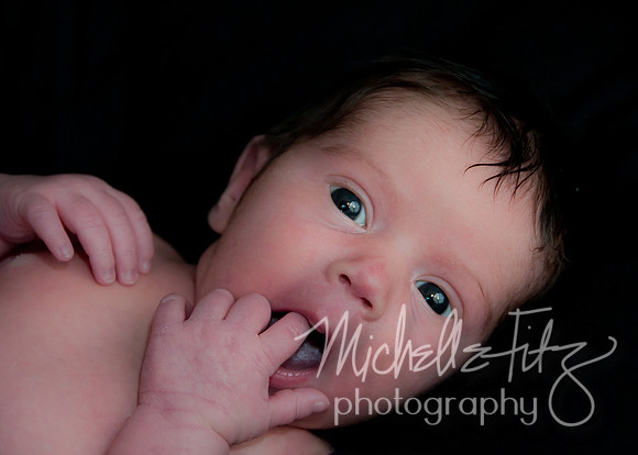 Wilkes Barre Newborn Portrait Photography