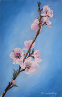 Spring Blossoms