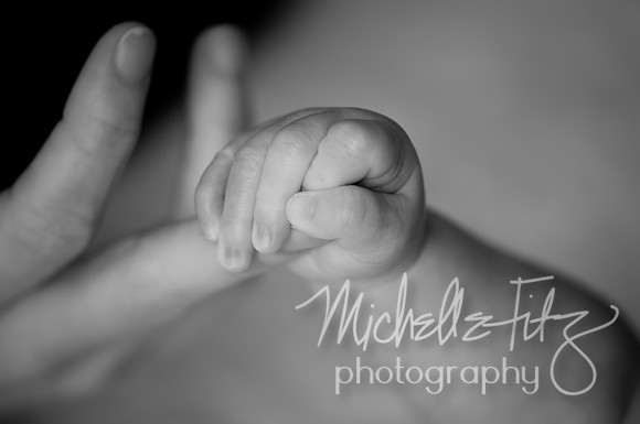 Wilkes Barre Newborn Portrait Photography