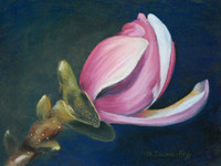 Dreams of Spring