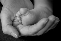 Wilkes Barre Newborn Portrait Photography