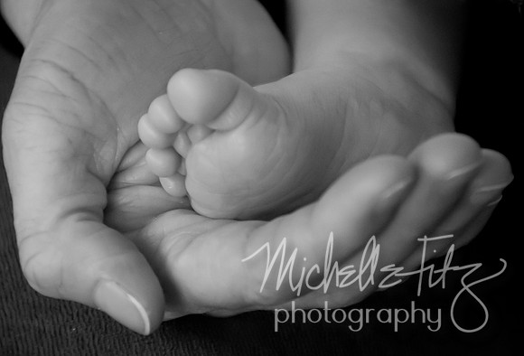 Wilkes Barre Newborn Portrait Photography