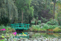 Monet's Waterlily Pond