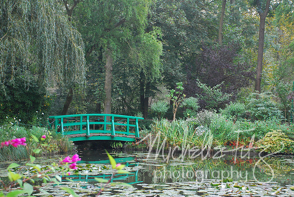 Monet's Waterlily Pond