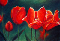 Fiery Reds