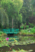 Monet's Waterlily Pond, Giverny, France