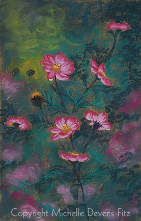 Cosmos