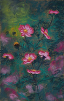 Cosmos