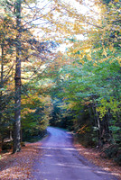 The Road Home