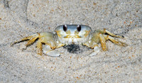 Outer Banks, NC