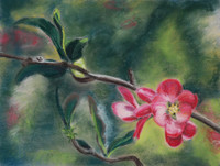 Giclee Reproductions